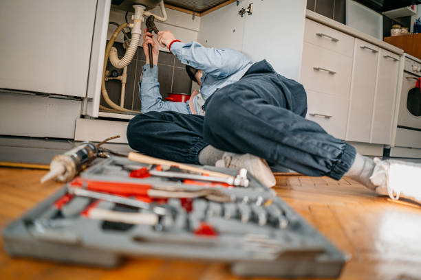 Best Best Plumbers Near Me  in Renville, MN