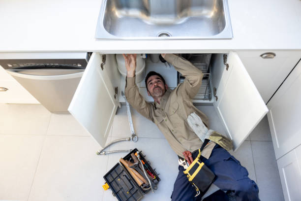 Best Drain Cleaning Services  in Renville, MN