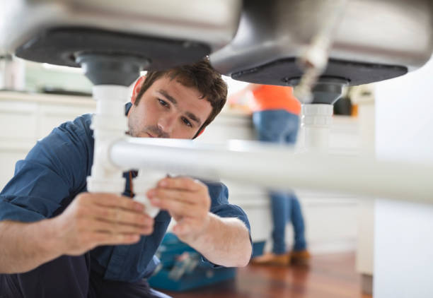 Best Sewer Line Repair  in Renville, MN