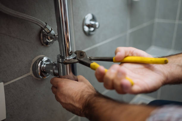 Best Same-Day Plumbing Service  in Renville, MN