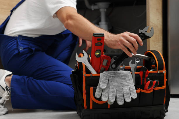 Best Shower Repair Services  in Renville, MN