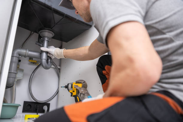 Best Plumbing Inspection Services  in Renville, MN