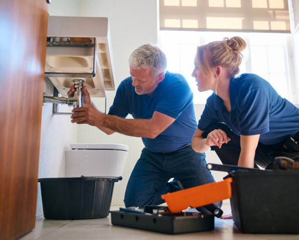 Best Toilet Repair Services  in Renville, MN