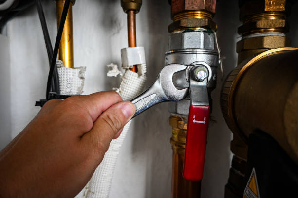 Best Affordable Plumber Near Me  in Renville, MN